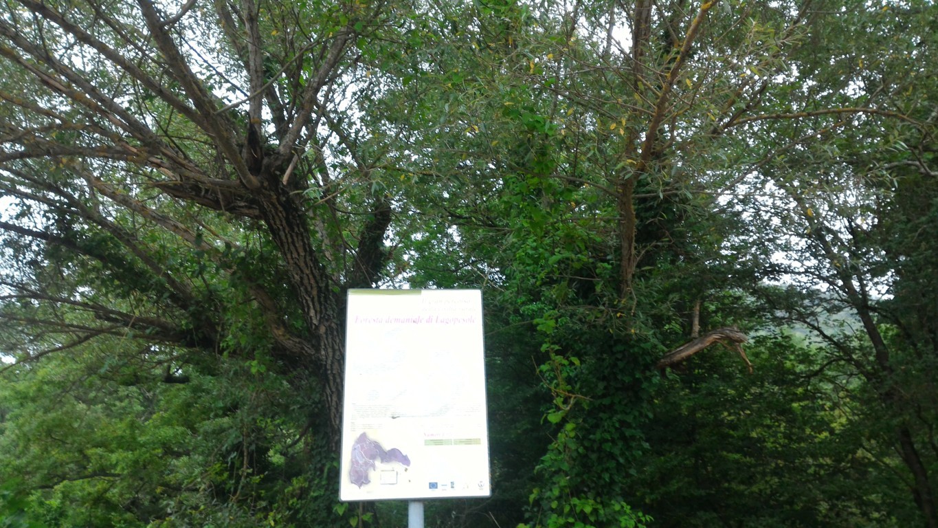P_20160808_112306 .jpg
